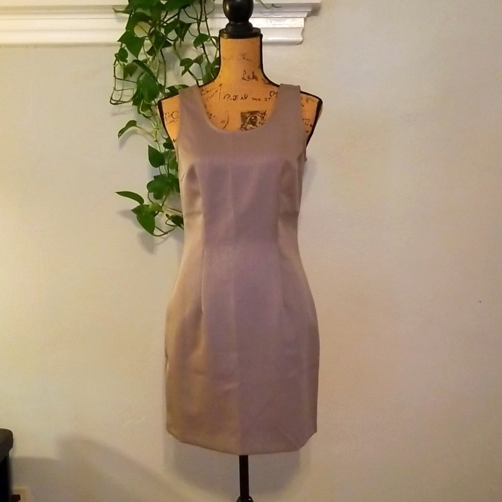 Tweed Light Brown Sleeveless Dress Size 10